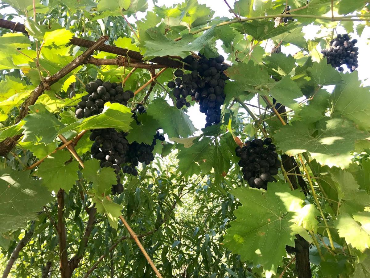 Ekas Rosengarten Γκόρι Εξωτερικό φωτογραφία