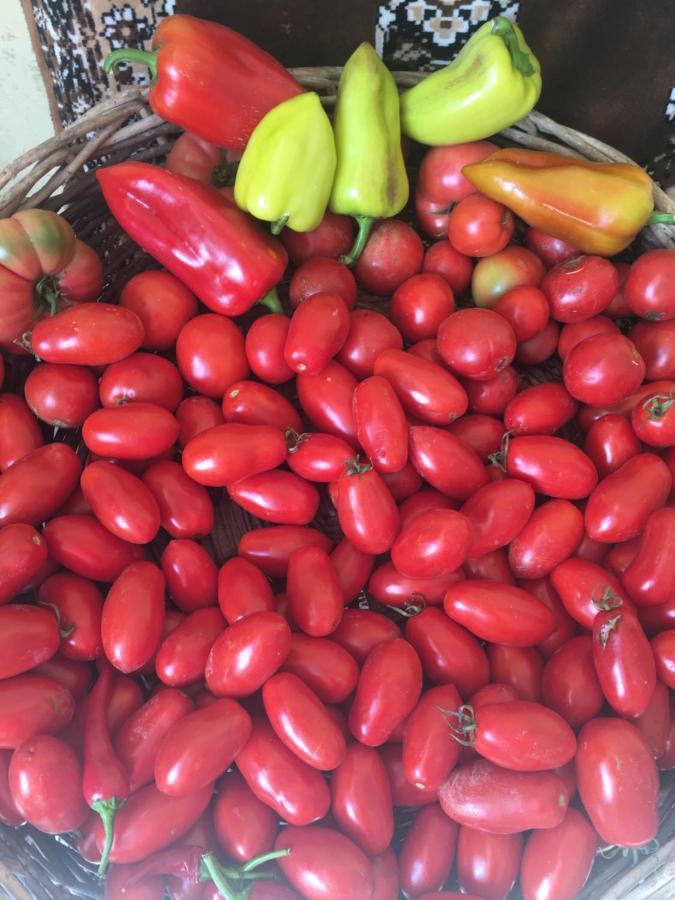 Ekas Rosengarten Γκόρι Εξωτερικό φωτογραφία