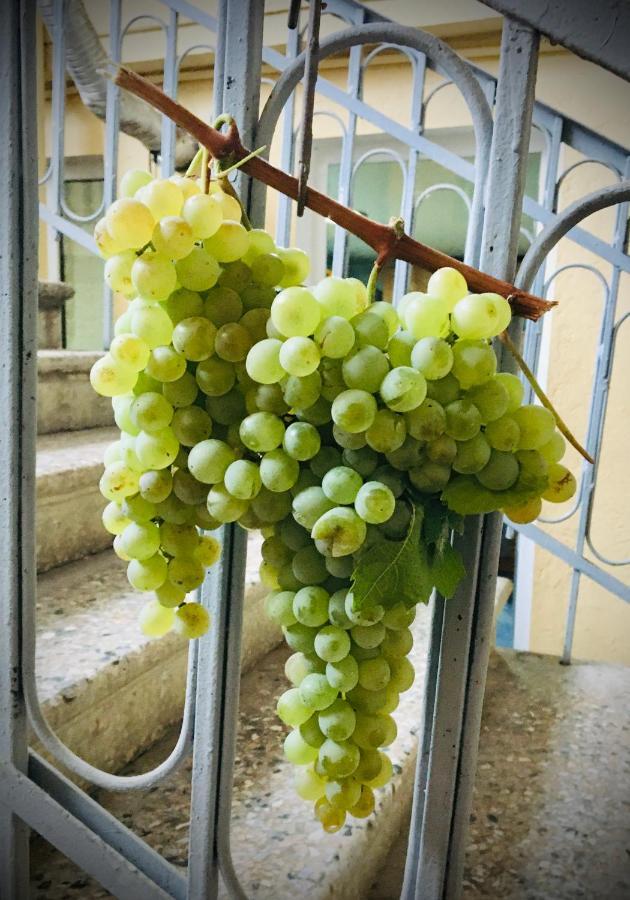 Ekas Rosengarten Γκόρι Εξωτερικό φωτογραφία
