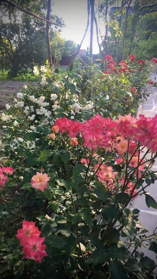 Ekas Rosengarten Γκόρι Εξωτερικό φωτογραφία