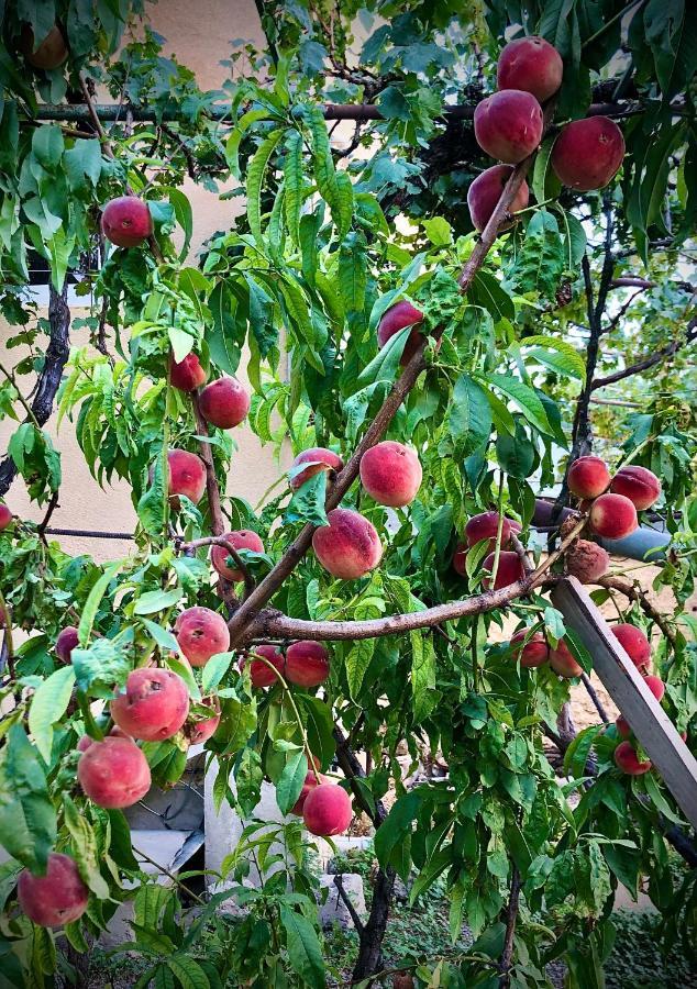 Ekas Rosengarten Γκόρι Εξωτερικό φωτογραφία
