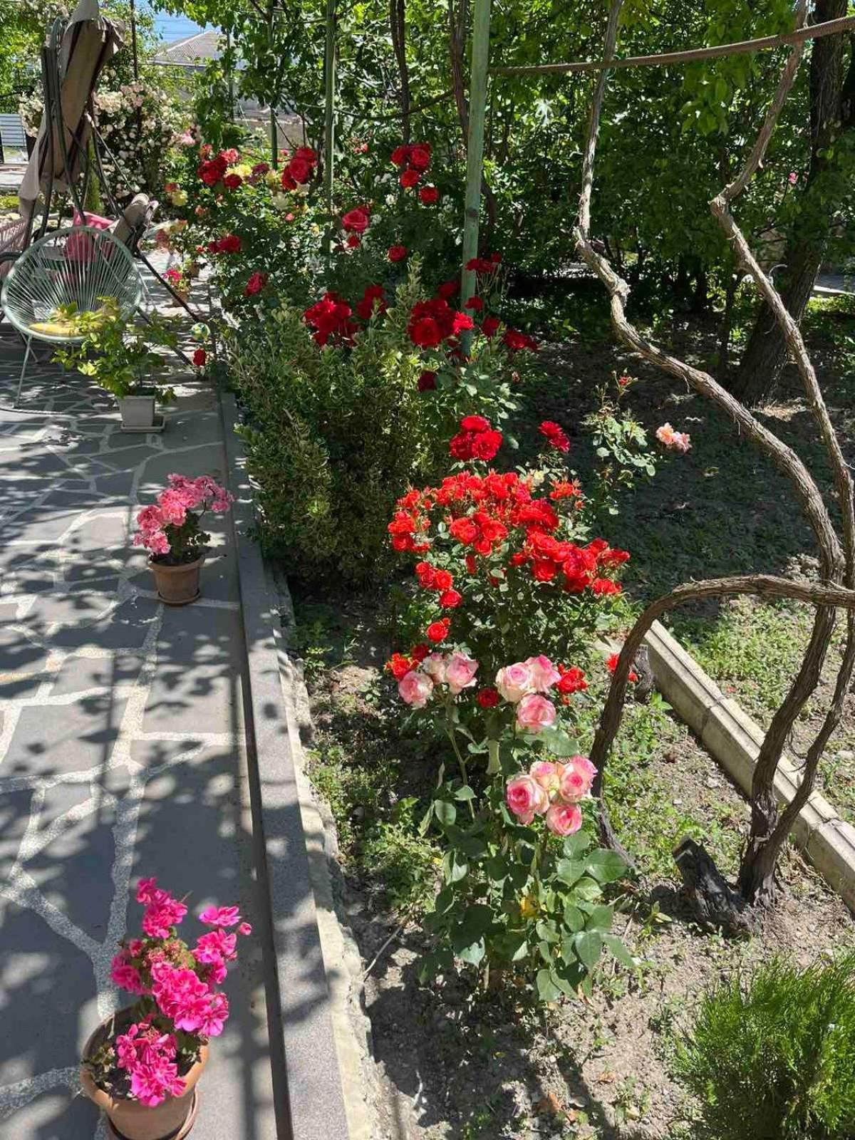 Ekas Rosengarten Γκόρι Εξωτερικό φωτογραφία